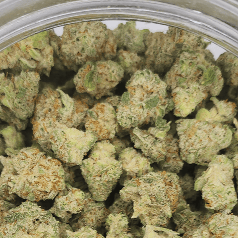 Green Ganja Mac Sauce Hybrid