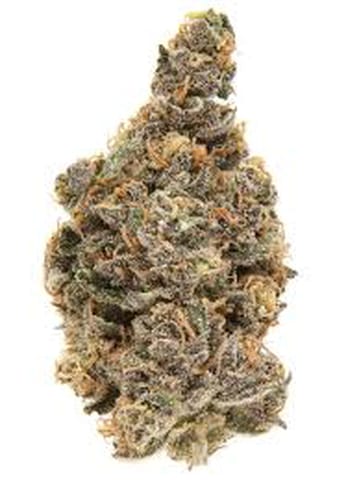 Blueberry Muffins | Wise Guys - 3.5g