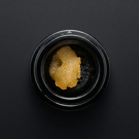 Sangria Skunk | Cured Badder - | 1g