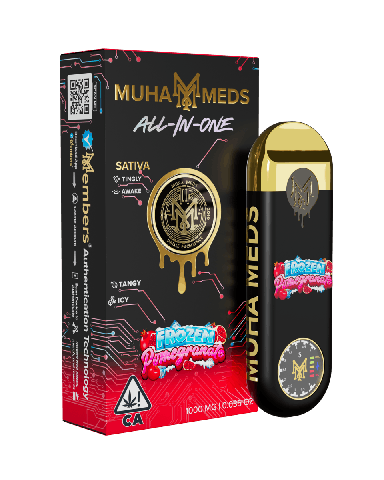 Muha Meds | Frozen Pomegranate (S) | 1g All In One Disposable