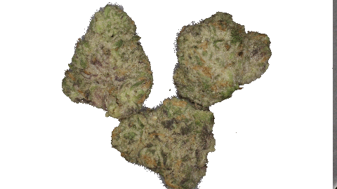 Mule Fuel - SM