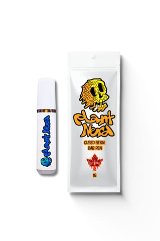 Plant Nerd - 1g Cured Resin Disposable - Maple Nectar