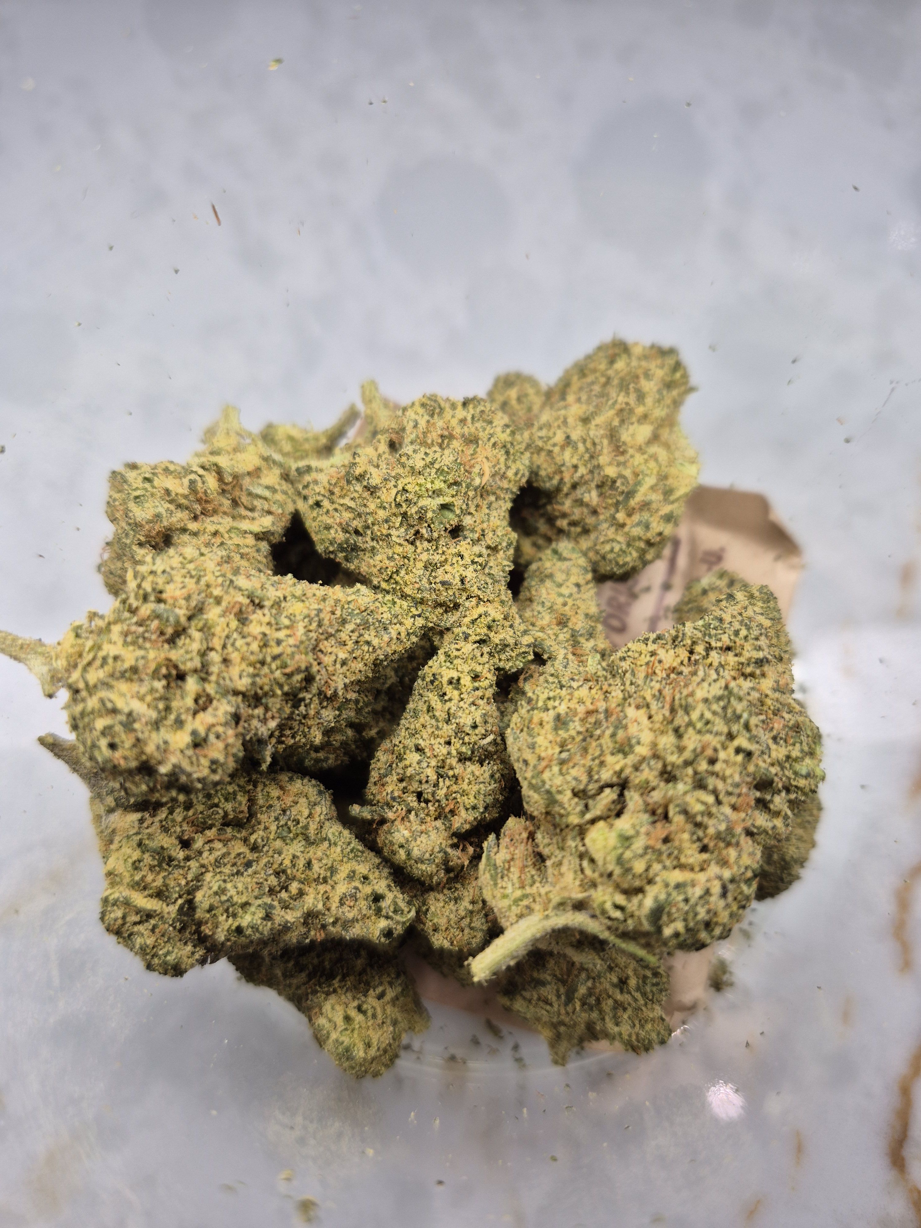 Tropical G
