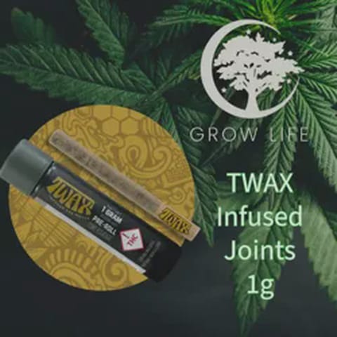 Twax Infused Joint Grapevine 1g (REC)
