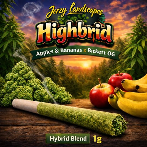Highbrid (Apples & Bananas X Bickett OG ) - Pre-Roll (1.0g)