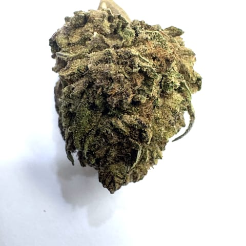 Stunna (Blissful Cultivation)