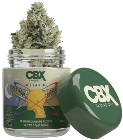 DISPLAY - CANNABIOTIX - INDOOR FLOWER - JET LAG OG - 3.5G