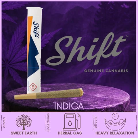 Dosi Dawggg Indica Pre-Roll by Shift Cannabis | Golden Rookie