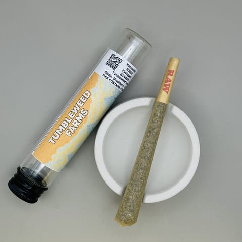 Blockberry Pre-Roll