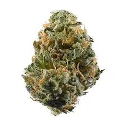 Lemon Mint Gelatti | DRJC - 28g