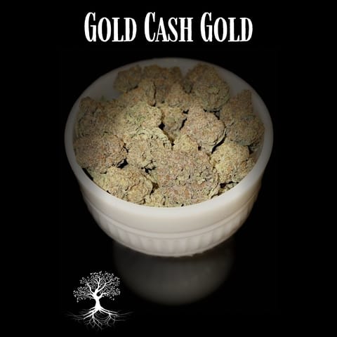 Buds - Gold Cash Gold