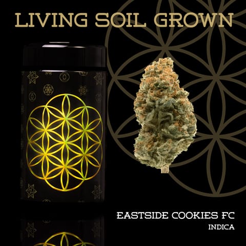 Eastside Cookies 14g Pre Packed Flower Jar | Flower of Life