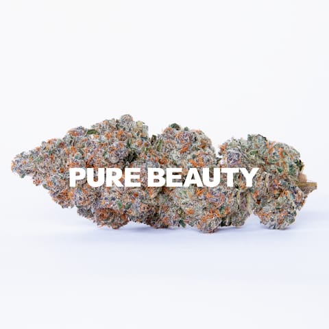 PURE BEAUTY - INDOOR FLOWER - MIDNIGHT SNACK - 3.5G