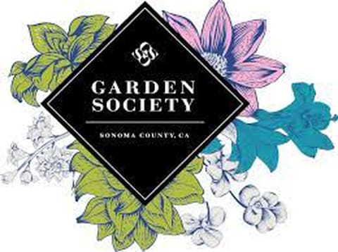 Garden Society Pineapple 100mg THC / 100mg CBG