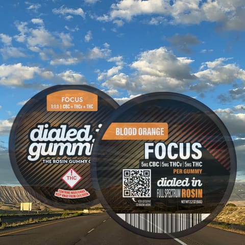 Blood Orange Focus Rosin Gummies by Dialed In | Golden Rookie