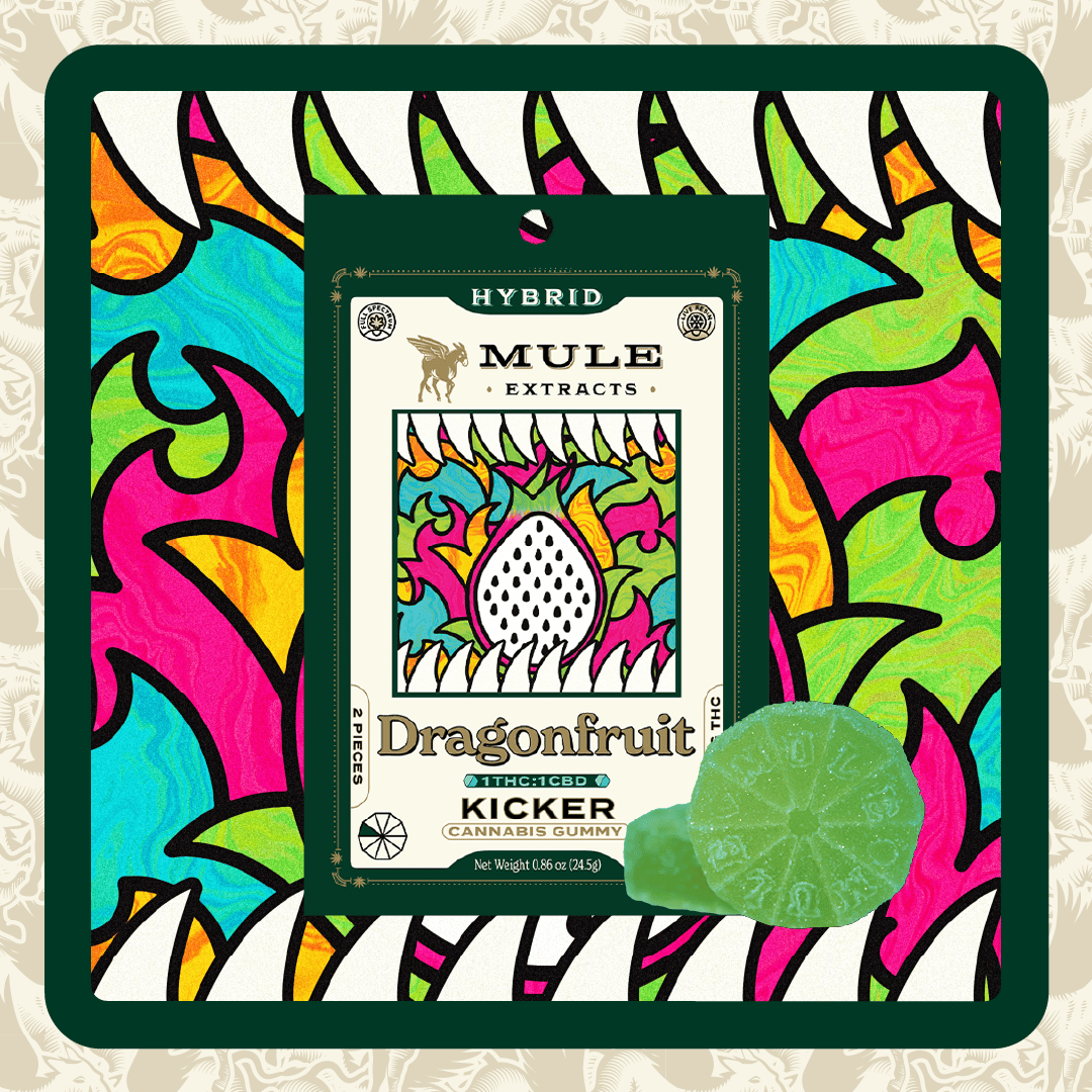Mule | Dragon Fruit Kicker | 200MG | 1:1 | THC:CBD | 2 Piece Gummy