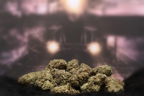 Flower | 3.5g | Sativa Hybrid | Dark Ghost Train