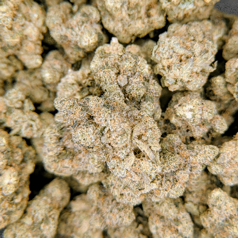 Larry Bird Mints - Deli Flower - $4/g