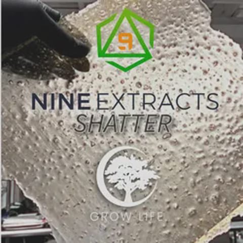 Nine Shatter OG Cough 1g (MED)