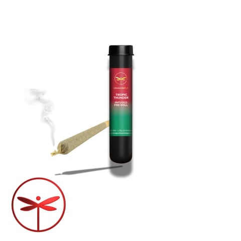 Dragonfly Infused -Tropic Thunder