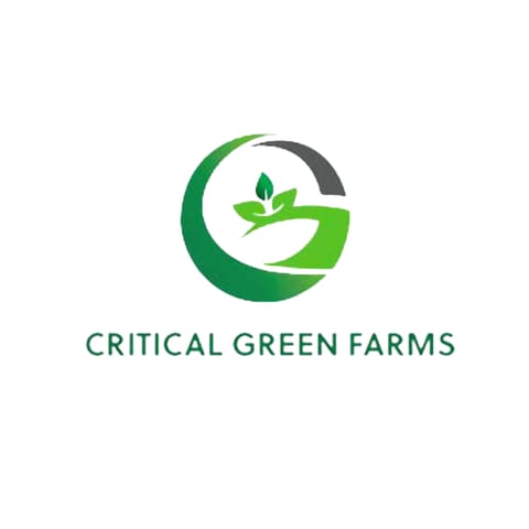 Flyin' Hawaiian (Critical Green)