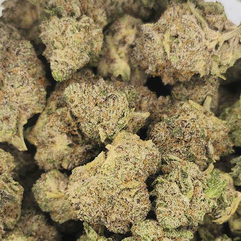 Canapa Valley Flower Sunshine Runtz Hybrid