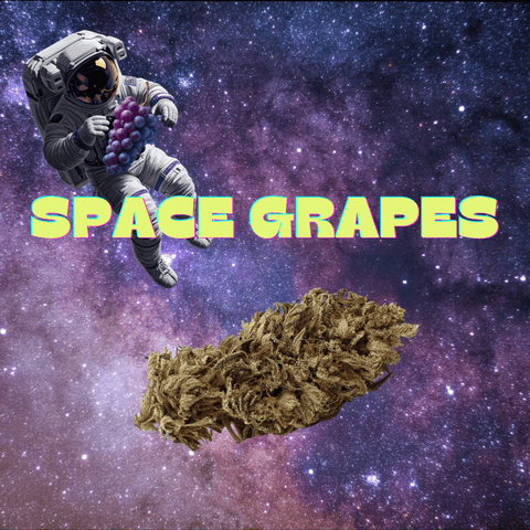 Space Grapes 14g Pre-packed by The Cannabis Collective