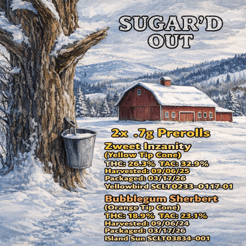 Sugar'd Out 2 Pack (H)