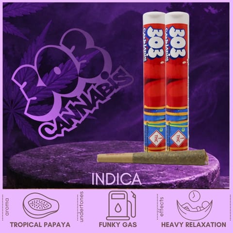 Papaya Funk Indica Pre-Roll by 303 Cannabis | Golden Rookie