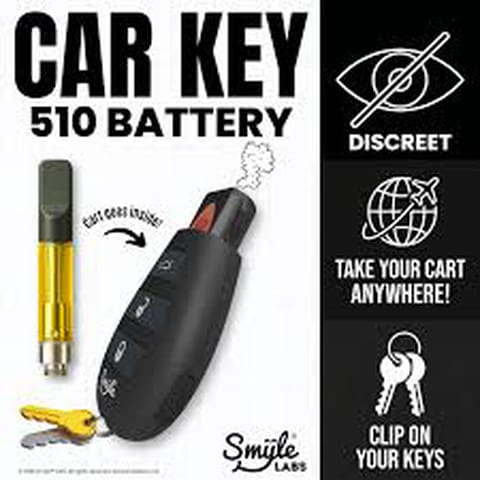 Penjamin Car Key Battery