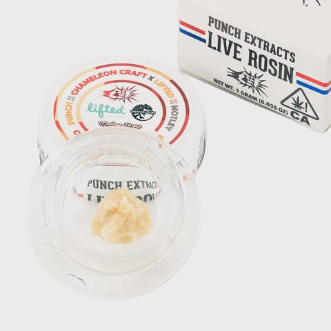 Punch | Cranberry nectarine | T4 Rosin | 1g