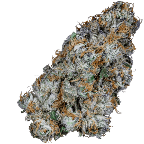 FLOWER | MULE FUEL | INDICA DOMINANT HYBRID | 3.5 GRAMS | 1/8TH