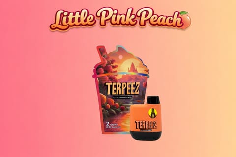 Lemon Lime 2g Disposable (Terpeez)
