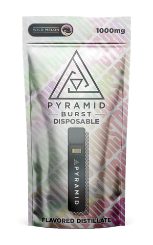 Burst - Wild Melon Disposable (1g)