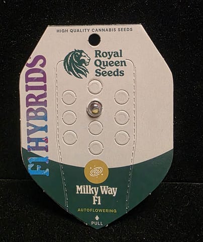 Auto Flowering Seeds - Milky Way F1 Auto