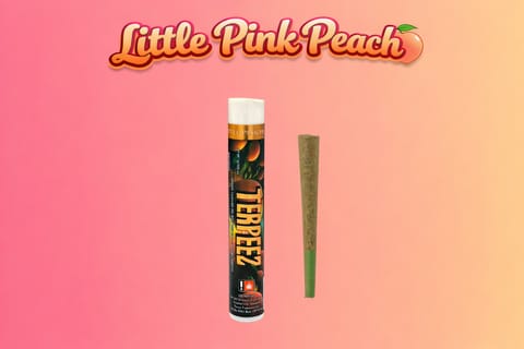 Little Pink Peach 1G Infused Preroll (Terpeez)
