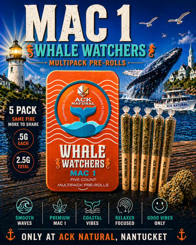 Mac 1 S26 - Whale Watchers 2.5G
