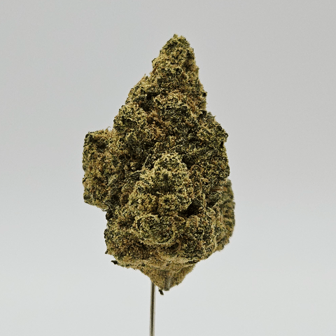 Livwell | Ghost Dawg | IH | - 3.5G