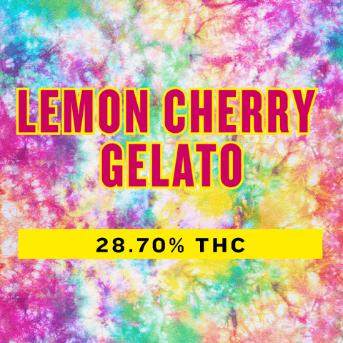 Lemon Cherry Gelato 1g/ 5pk Pre-roll by The Cannabis Collective