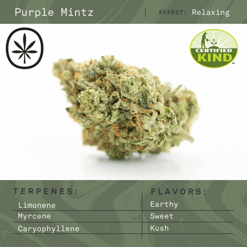 Apothecare Certified Organic Purple Mintz