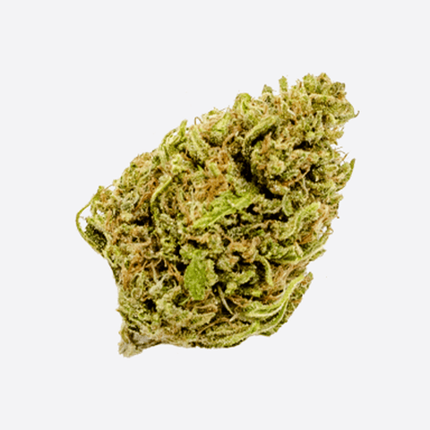 Candy Blossom 2:1 CBD (East Fork Cultivars)