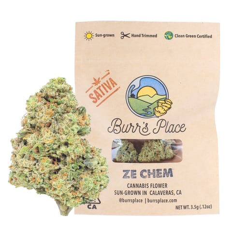 Burr's Place | Ze Chem (S) | 3.5g Flower