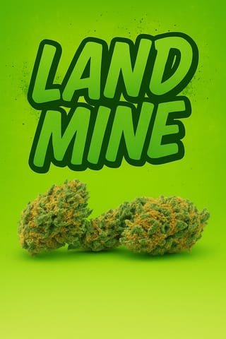 Tier 3 - Land Mine - - 1/4oz
