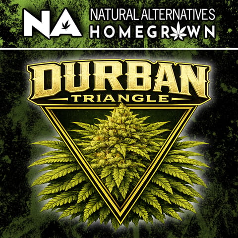 NA Durban Triangle