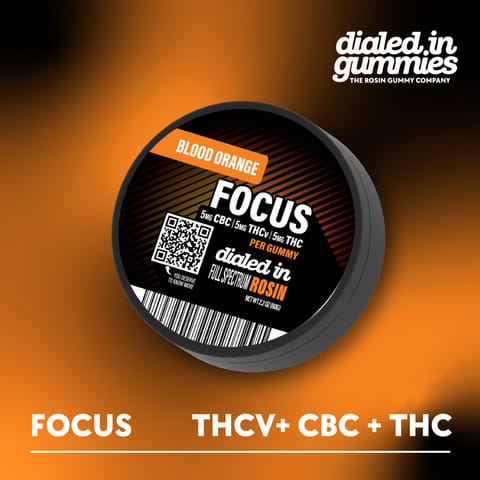 Dialed In Focus 1:1:1 THCV:CBC:THC Gummies | Blood Orange 100mg Rec