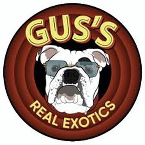 Znote$ | Gus's Real Exotics - 28g