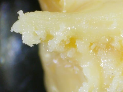 Albarino 2g Live Rosin