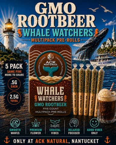 GMO Rootbeer - 2.5g Whale Watcher