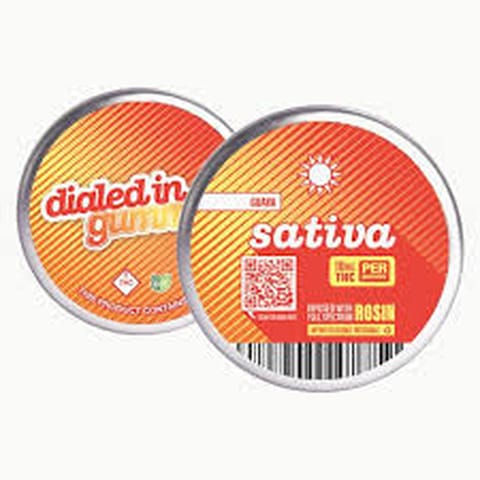 Guava