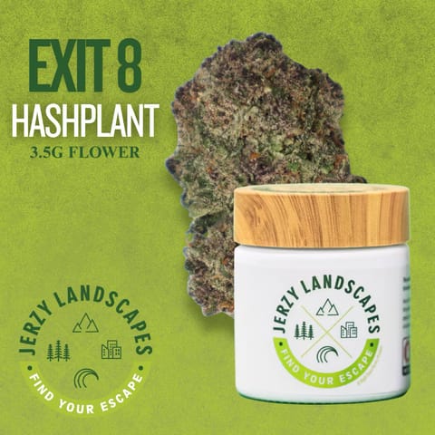 Exit 8 Hashplant | 3.5G Flower | Indica